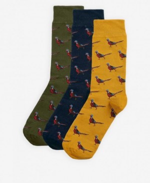 Calcetines Barbour Pheasant Gift Box Hombre Multicolor Mexico | S6A93039