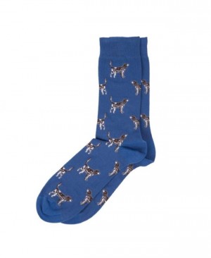 Calcetines Barbour Pointer Hombre Azules Mexico | M3A32104