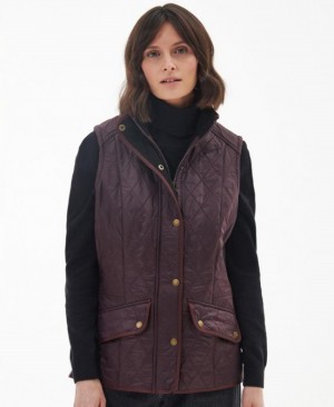 Chalecos Barbour Cavalry Gilet Mujer Morados Mexico | M6Y06281